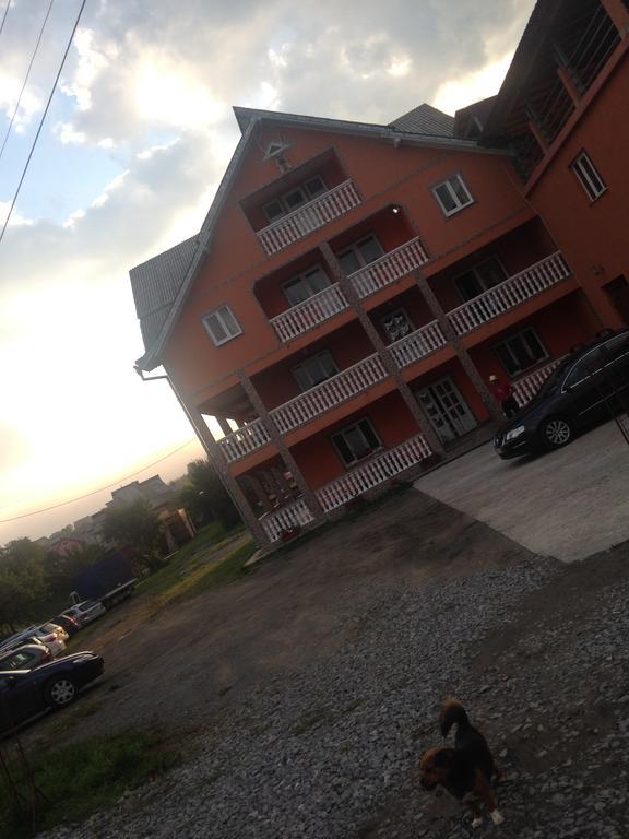 Pensiunea Colt De Rai Săcel Exteriör bild