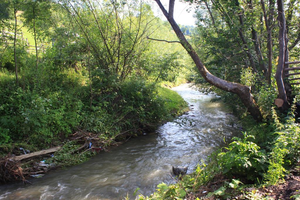 Pensiunea Colt De Rai Săcel Exteriör bild