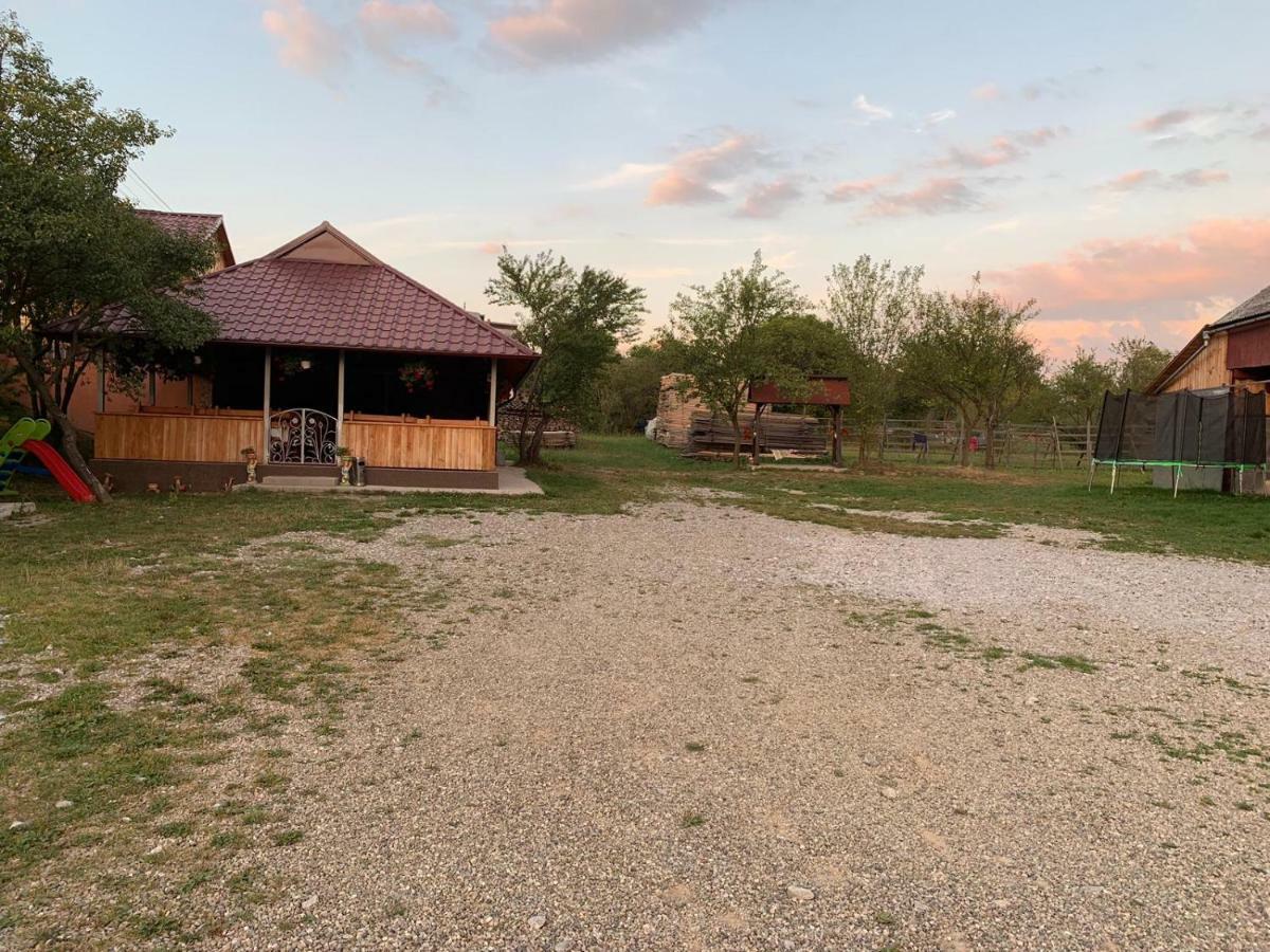 Pensiunea Colt De Rai Săcel Exteriör bild