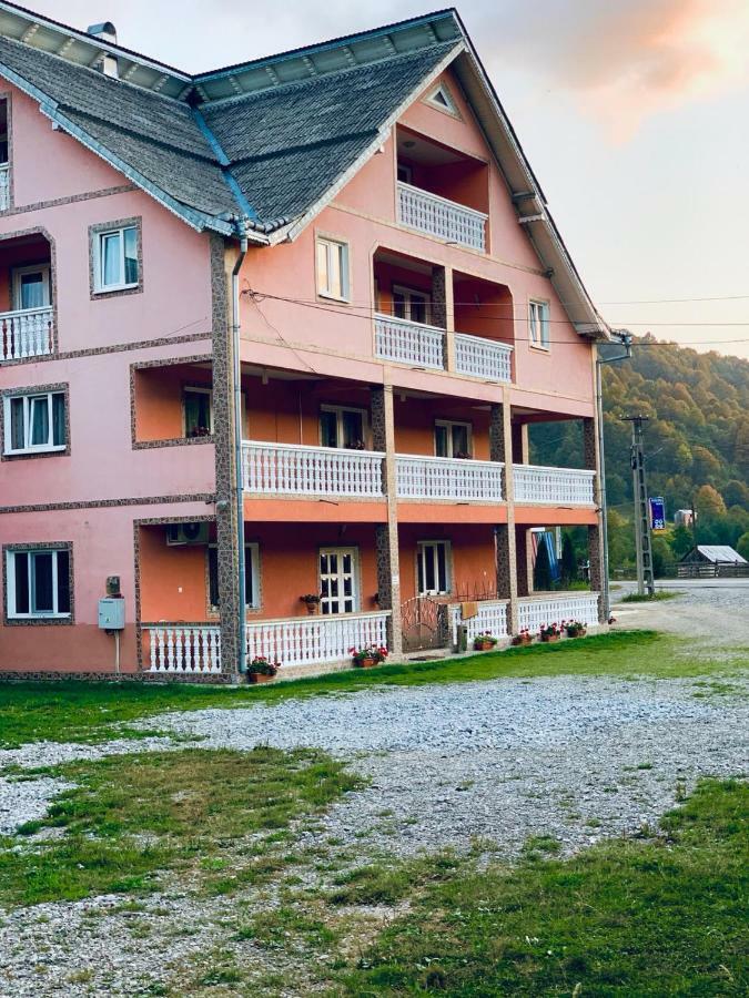Pensiunea Colt De Rai Săcel Exteriör bild